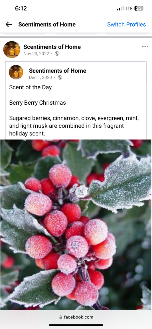 Berry Berry Christmas